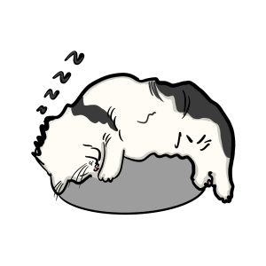 ac69ea20c52ed3eaab6d7a2c2bbf5803 Custom Hand-painted Cat Sleeping Positions