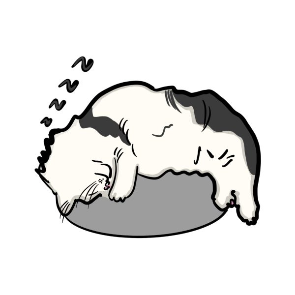 ac69ea20c52ed3eaab6d7a2c2bbf5803 Custom Hand-painted Cat Sleeping Positions