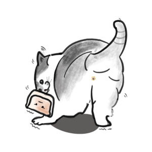 微信图片_20251202021206_73_80 Playful Sandbag Antics