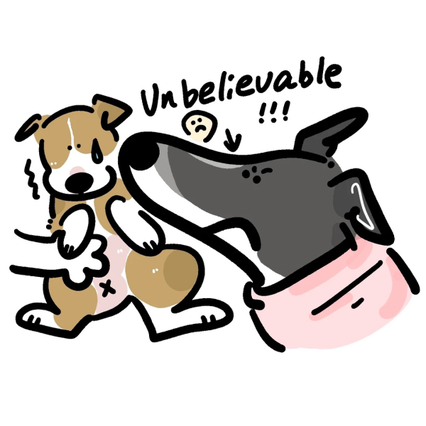 The First Meeting of Graystripe and Doubao