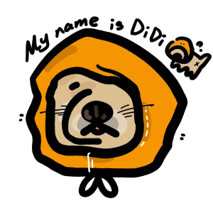 微信图片_20251202052210_5359_20 "The First Experience of 'Little Yellow Hat' with Its Raincoat"